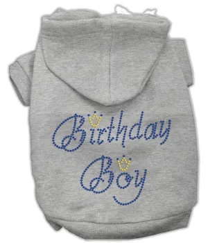 Birthday Boy Hoodies Grey Xxxl(20)