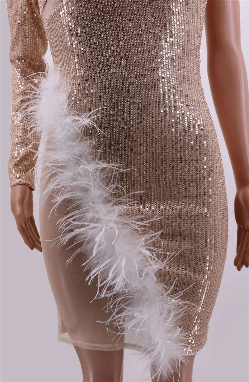 Sheer Mesh Patchwork Trendy Feathers Sequins Dress