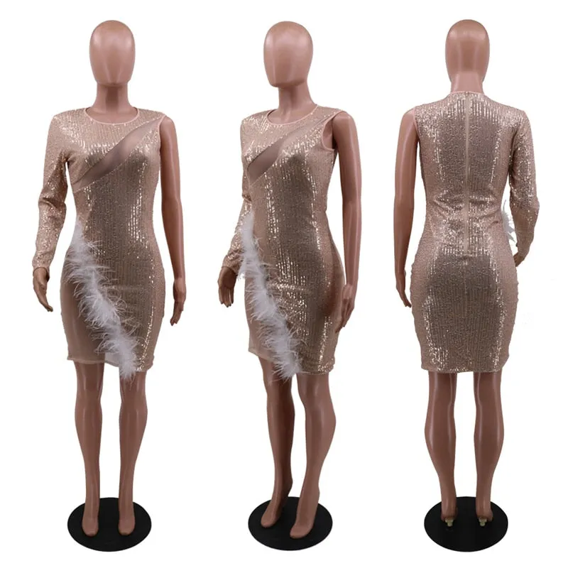 Sheer Mesh Patchwork Trendy Feathers Sequins Dress