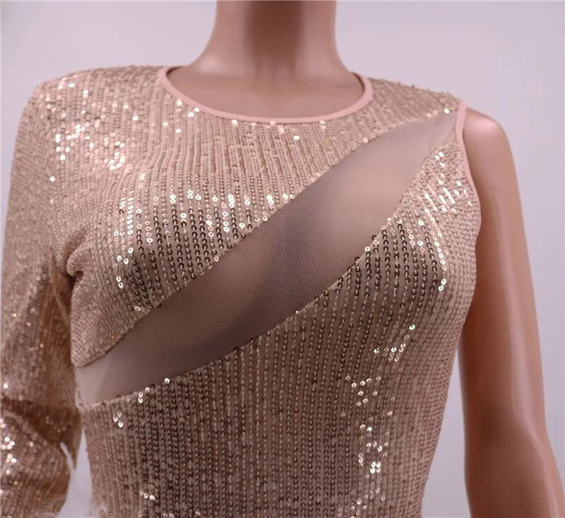 Sheer Mesh Patchwork Trendy Feathers Sequins Dress