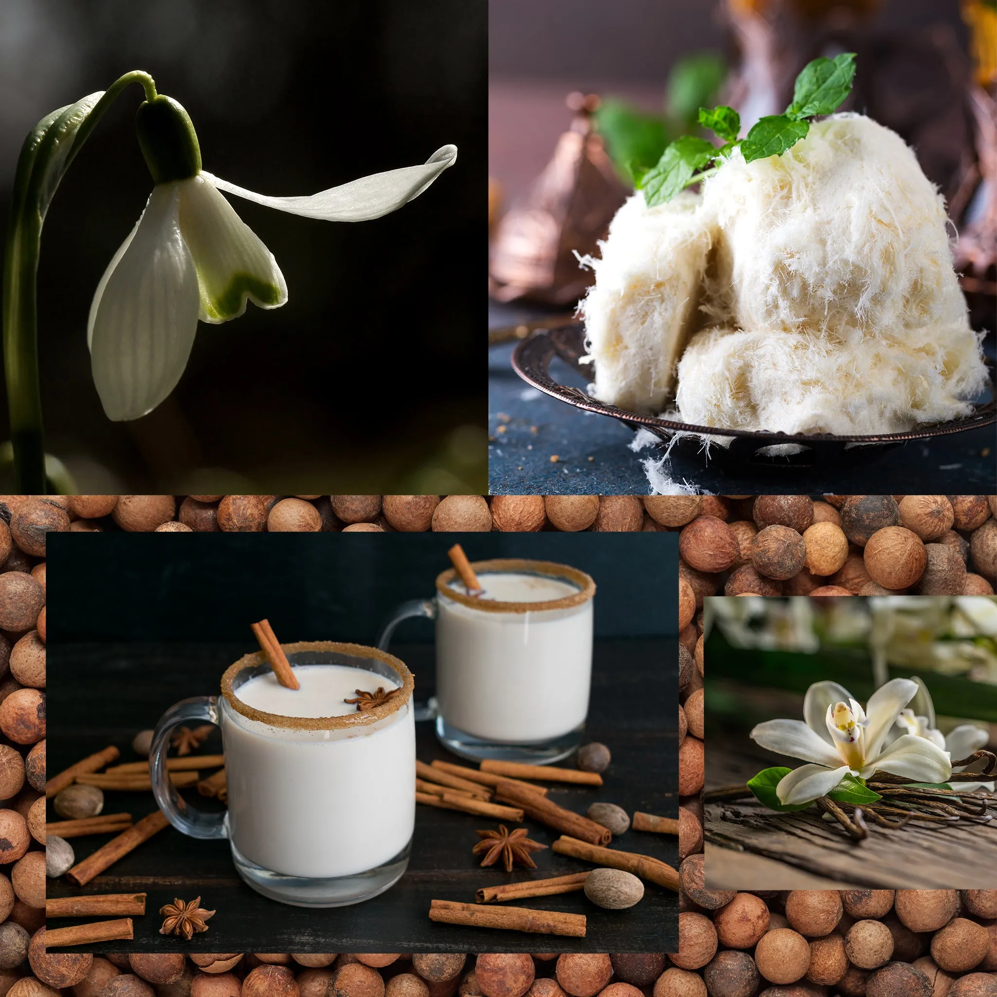 Vanilla Bourbon Fragrance Oil